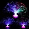Colorful LED Starry Sky Fiber Optic Flower & Tree Flashing Night Light Toy