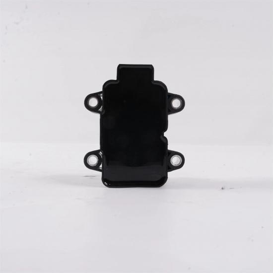 224336134R Ignition Coil for Lada Large Renault Logan