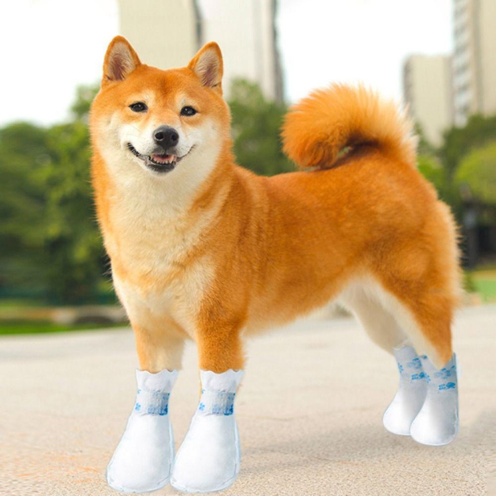 

12pcs/set Waterproof Dogs Foot Covers Breathable Dog Rain Shoes Dog Disposable Booties Walking M