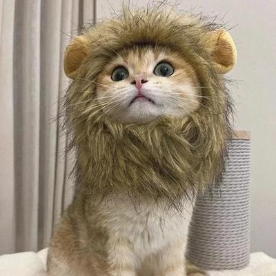 Cat and Lion Headgear Funny Pet Costume Ear Hat Cute and Funny Dog Headgear Pet Supplies