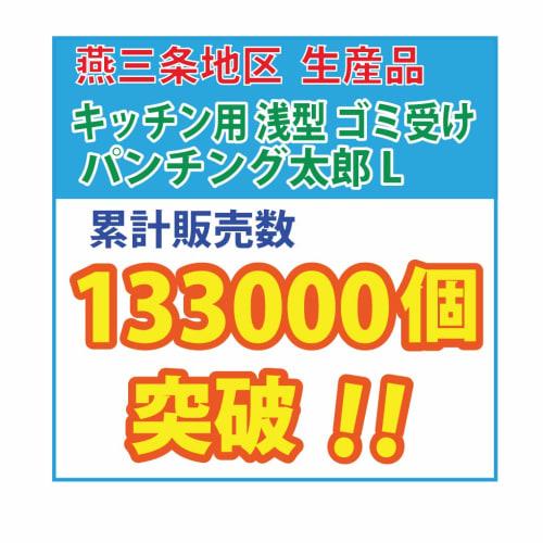 R&M Punching Taro L (17791), Shallow Kitchen Garbage Drain, Polished Stainless Steel, Silver