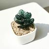 Mini Glass Planter Desktop Ornaments Small Exquisite Craftsmanship Bright Colorful Handmade Texture for Office Bedroom Living Room Home Decor Gift
