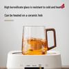 Heat-Resistant Glass Tea Infuser Mug with Wooden Handle