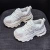 Small Thick-soled Dad Shoes Women 2025 New Casual Fashion Versatile Internet Celebrity Height Increase Lightweight Sports Shoes