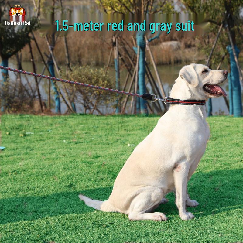 2m Anti-Shock Dog Leash with Collar for Medium & Large Breeds - Golden Retriever & Teddy Training Rope