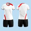 Women's & Men's Volleyball Team Uniform Set - Short-Sleeved, Professional Training Suit with Printed Numbers