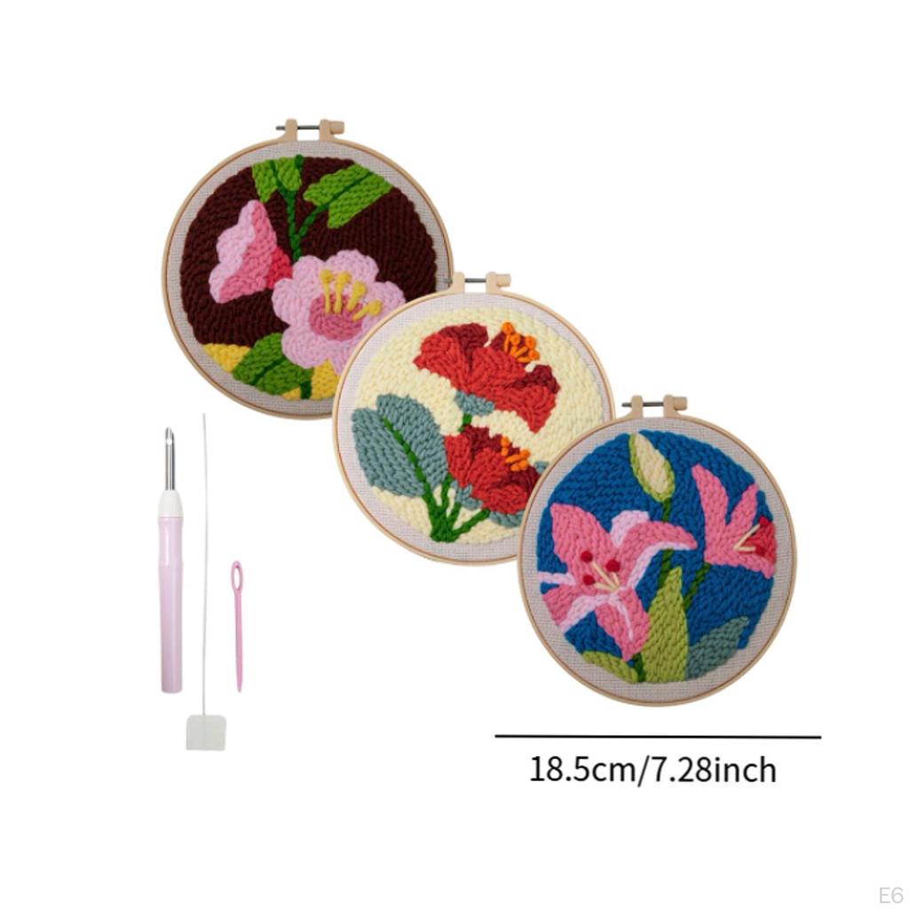 DIY Embroidery Starter Kit Cross Stitch Include Instructions Rug Hooking Punch Stitching