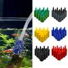 Peixes e animais aquáticos – Manutenção de aquário