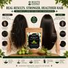 Roots Essence Anti-Hair Fall Hair Pack | Herbal Hair Care with Amla, Brahmi, Curry Leaf & Aloe Vera | Nourishes Scalp, Strengthens Hair & Support