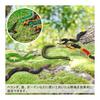 KALOLINNA Snake Toy Set of 6 Realistic Rubber Snake Toy Rubber Real Prank Goods for Cats and Birds