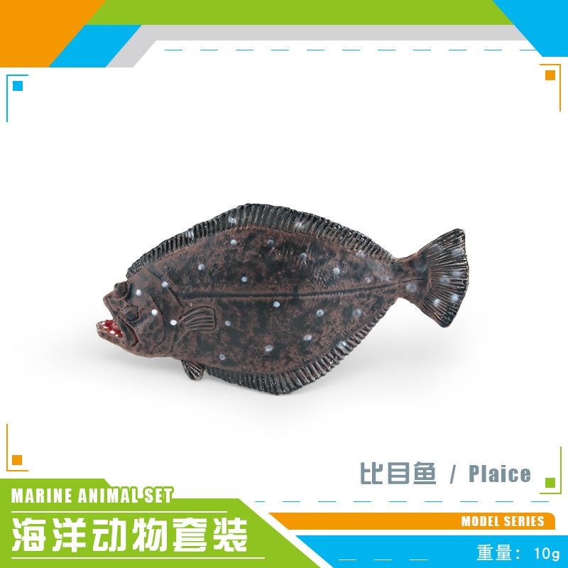 Simulation Of Marine Animals, Flounder, Sailfish, Stone Fish, Sand Fish, Red Snapper, Starfish Model Ornament Toy