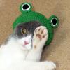 1 Stück Frosch-Kopfschmuck (Größe S/M) für Hunde und Katzen – Handgestrickter Wollkopfschmuck, niedliches Kostümaccessoire