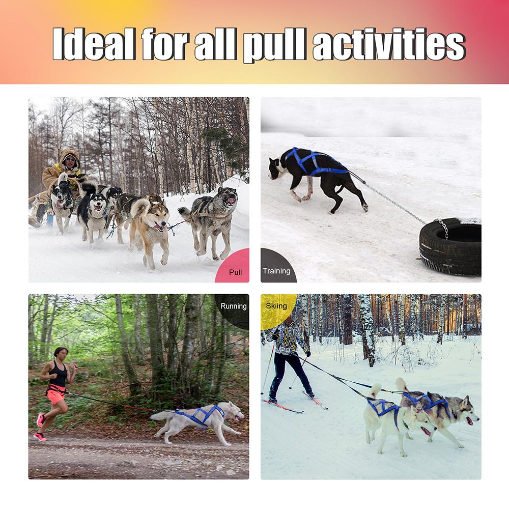 Imbracatura da Slitta per Cani Riflettente Pettorina per Animali Domestici da Trazione con Slitta per Cani Medi Grandi Husky Canicross Skijoring Scootering