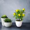 Artificial Fruits Lemon Simulated Bonsai Artificial Lemon Tree Mini Potted Realistic Fake Desk Plant for room kitchen party