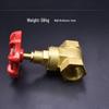 Evans 1-inch Gate Valve (32mm) CN plug (adapter included)