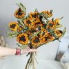 Yunnan Sunflower Dried Flowers - Natural Home Decoration DIY Material
