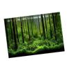 PVC Adhesive Underwater Forest Tank Background Poster Backdrop Decoration Paper