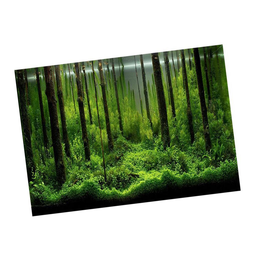 PVC Adhesive Underwater Forest Tank Background Poster Backdrop Decoration Paper