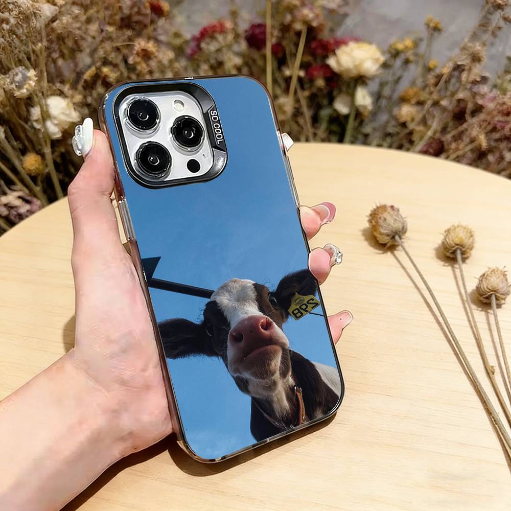 Funny cute cows Phone Case For iPhone 17,16,15,14,13,12,11 Plus,Pro Max,XS,Colored Silver Plated Inside Cover