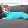Roupas para Cães de Estimação Macacão de Recuperação Cirúrgica para Animais de Estimação Macacões Pós-Cirurgia Body Anti-Queda para Cães Pequenos e Grandes Pijamas