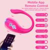APP Remote Control Vaginal G-spot Panty Wearable Vibrator, Long Distance 9 Vibrations Kegel Ball Stimulator For Women Sex Toy