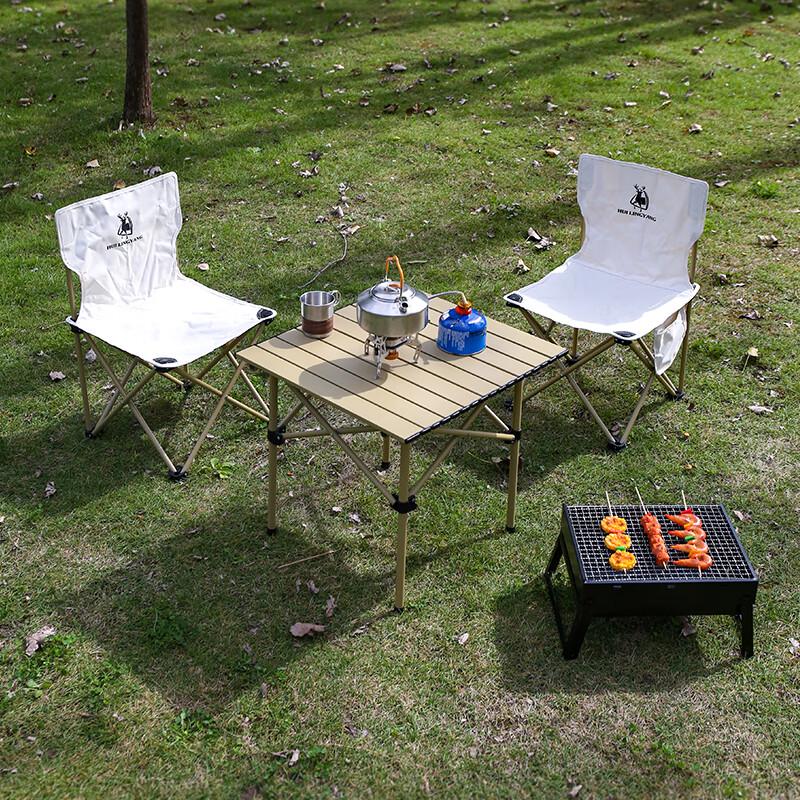Portable Two-Person Picnic & BBQ Set