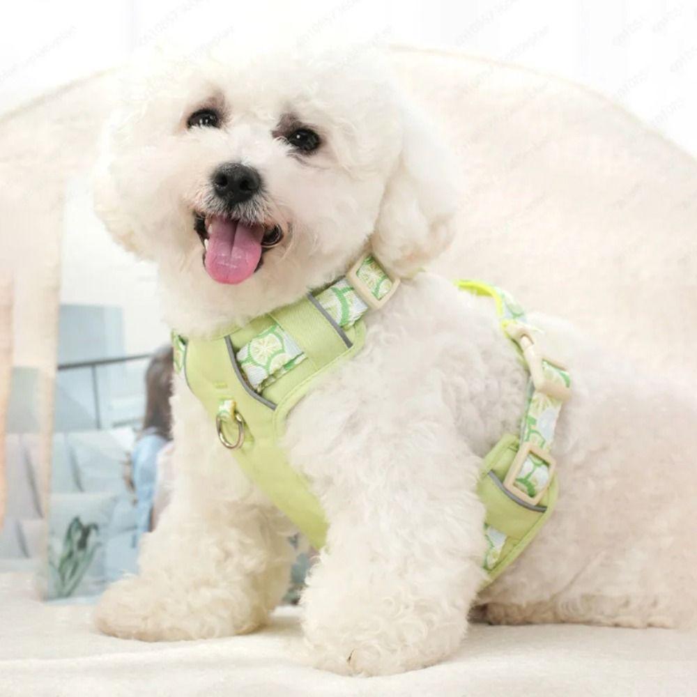 Vest Type Pet Harness Explosion Proof Breathable Harness Dog Gear Dog Vest  Outdoor Activities