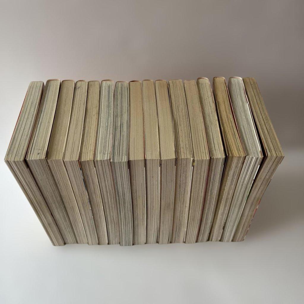 [USED] Mariko Iwadate Collection