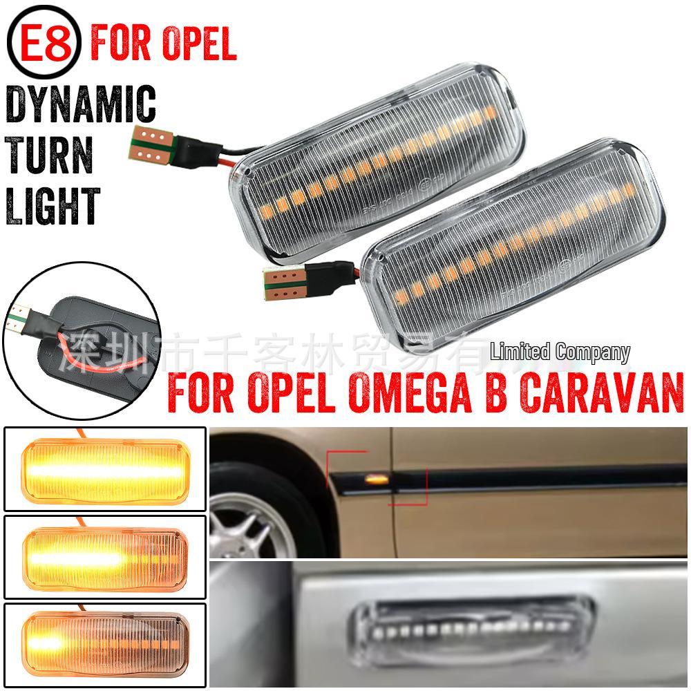 Opel OmegaB (1994-2003) Seitenblinker