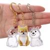 Transparent Dog Hair Collection Bichon Husky Corgi Portable Dog Hair Storage Capsule Gifts Dog Hair Storage Box Gift Giving