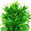 Artificial Aquarium Plant Kruger Meier Plant High Leafy Decoration Pcs