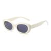 JYL TS Sunglasses 004 Small Square INS Cat Eye Women/5028