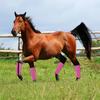 4 Sets Horse Foot Protective Cover Breathable Mesh Horse Boots Mesh Fly Boots for Horse for Preventing Flies Mosquitoes Bite