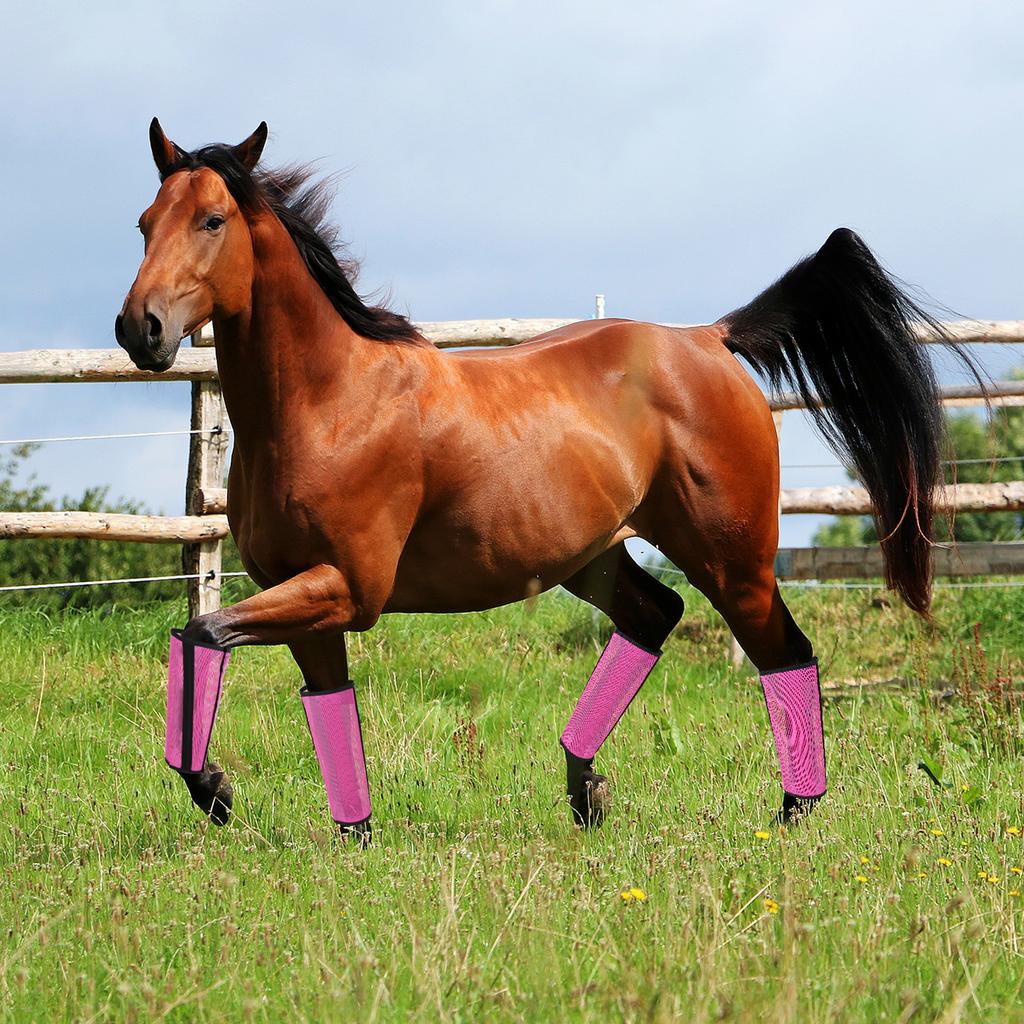 4 Sets Horse Foot Protective Cover Breathable Mesh Horse Boots Mesh Fly Boots for Horse for Preventing Flies Mosquitoes Bite