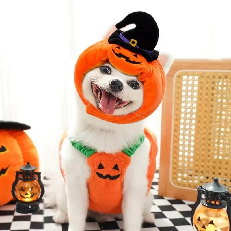 Funny Halloween Dog Costume Pumpkin Lantern Transformation Outfit with Cute Pumpkin Hat Two-Legged Pet Jacket for Dogs And Cats
