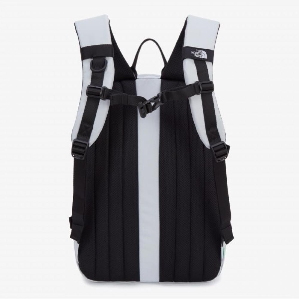 The North Face Standard Backpack Ice Gray Nm2dr05l