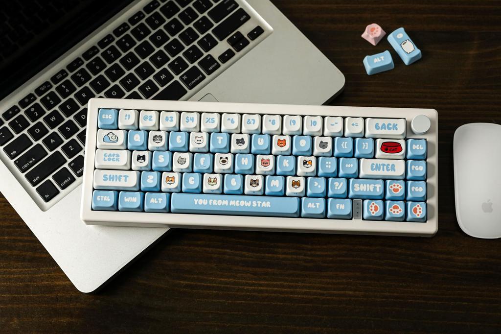 EPOMAKER PurrCap 142-Key PBT Keycap Set, Custom Keycaps for Mechanical Gaming Keyboards, Dye-Sublimation, Cute Keycaps, Compatible with Cherry,