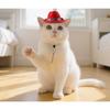 Pet Western Cowboy Hat Pet Sun Hat Big Edge Sunscreen Dog Hat Cat Top Hat Dress Up