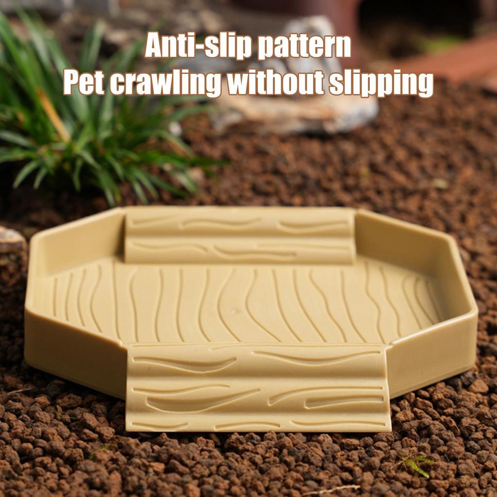new Turtle Water Bowl Anti-Slip Reptile Pool Dish 2-in-1 Stain-Resistant Turtle Bathing And Feeding Tub For Snake Gecko Tortoise