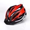 Adult Cycling Helmet Mountain Bike Road Unisex Safety Head Protection EPS Foam Lightweight Ventilated