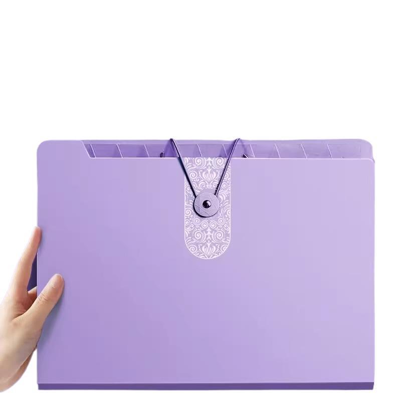 A4 Multi-Layer Transparent Folder for Students - Cute Organizer for Test Papers