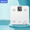 Smart Body Fat Scale with Large LCD Display