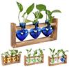 Plant Propagation Station Glass Vase with Wooden Frame Hydroponic Plant Terrarium Kit Love Bulb Vase for Indoor Plants Desktop Decor