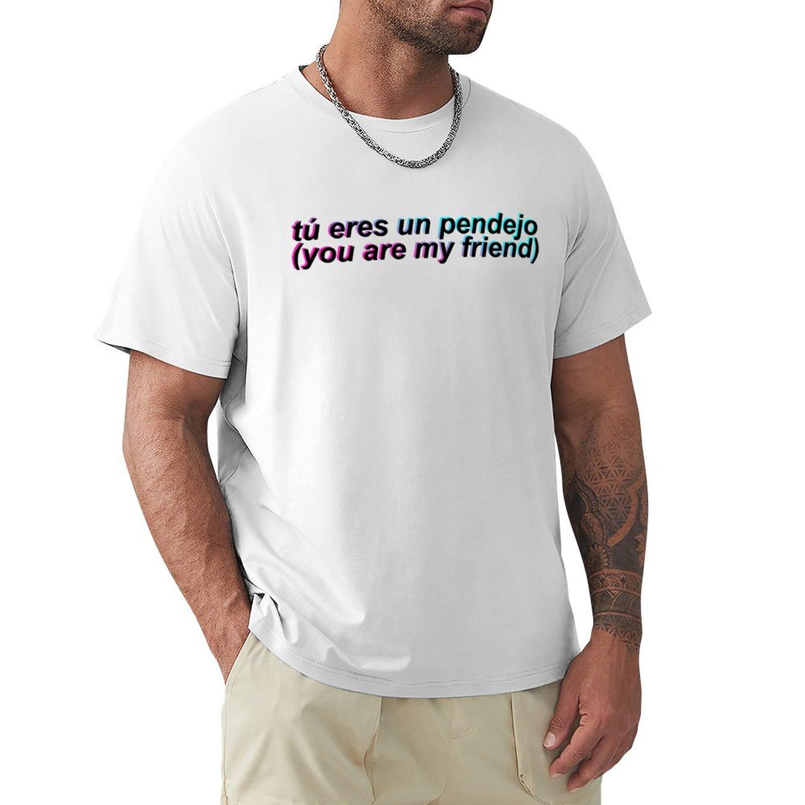 tú eres un pendejo you are my friend TShirt kawaii clothes vintage graphic tee Mens tshirt S