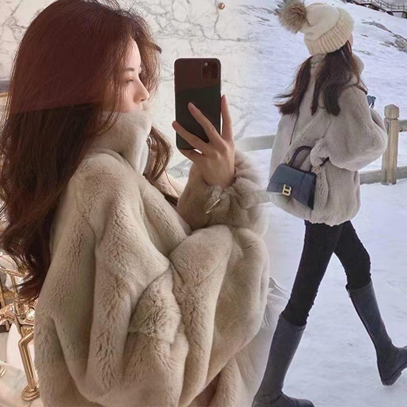 Korean Version, Faux Fur Jacket, Women, Autumn and Winter, Loose Fit, Faux Otter and Rabbit Fur, Thickened with Plush, Stand Up Collar, Zipper Hoodie
