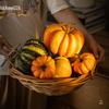 Pumpkin Ornament: Artificial Harvest Decor for Home, Farmhouse, and Supermarket