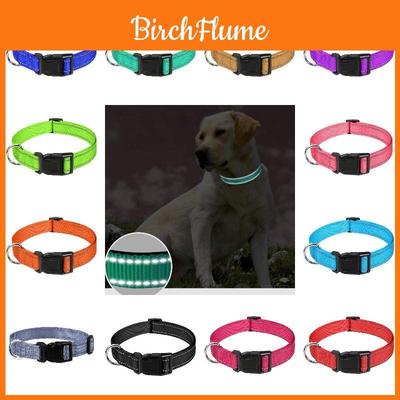 Reflective Neoprene Adjustable Padded Nylon Dog Collar In 12 Colors And 5 Sizes Suitable For All Dog Breeds