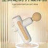 HEZHENG Professional Percussion Massager CN Plug (adapter Included)