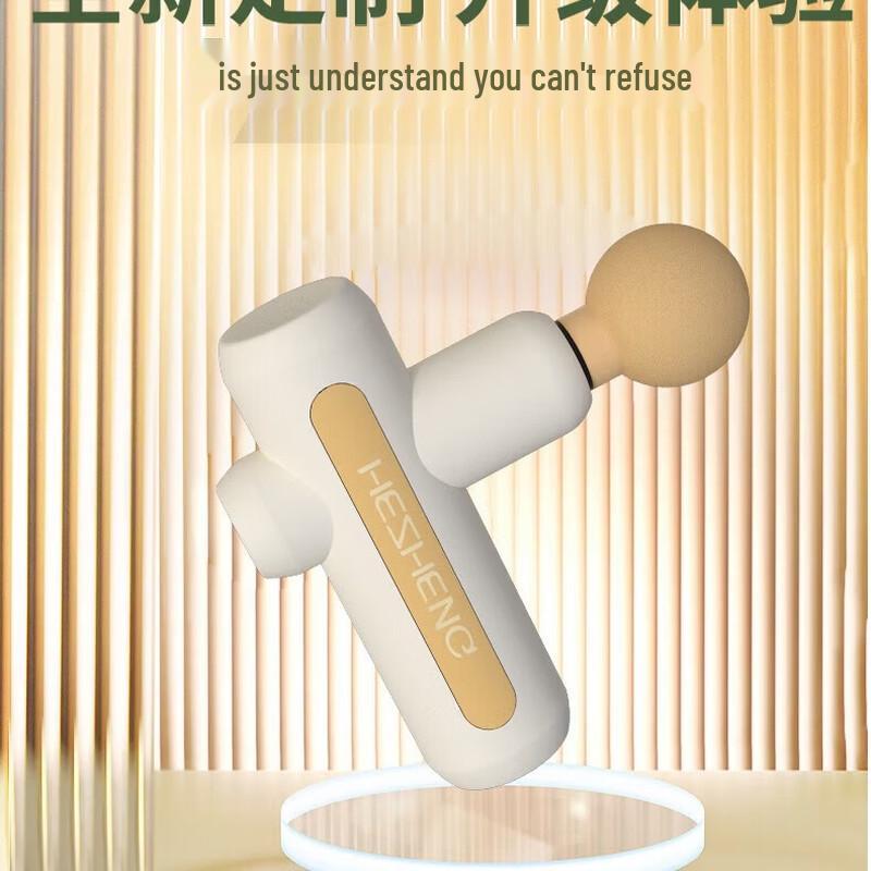 

HEZHENG Professional Percussion Massager CN plug (adapter included)