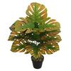 Nordic Style Variegated Monstera: Potted Plant for Home & Garden Decor